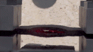 A specimen heated rapidly between electrodes during ultrafast high-temperature processing